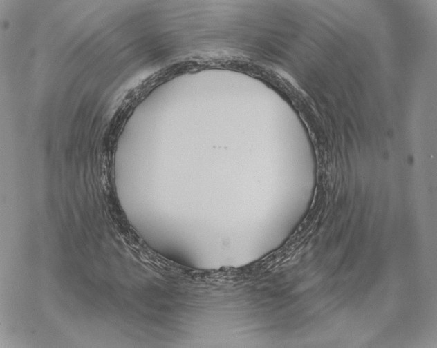 X0000069361016200606091555