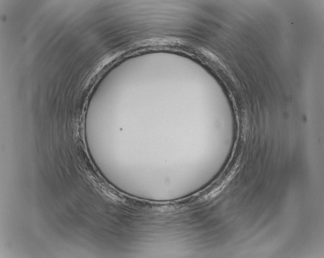 X0000069361017200606091555