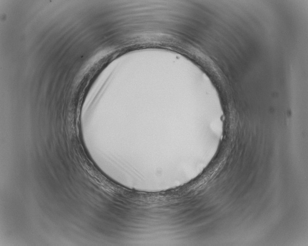 X0000069361019200606091555