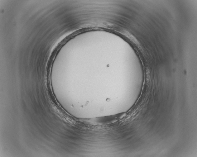 X0000069361020200606091555