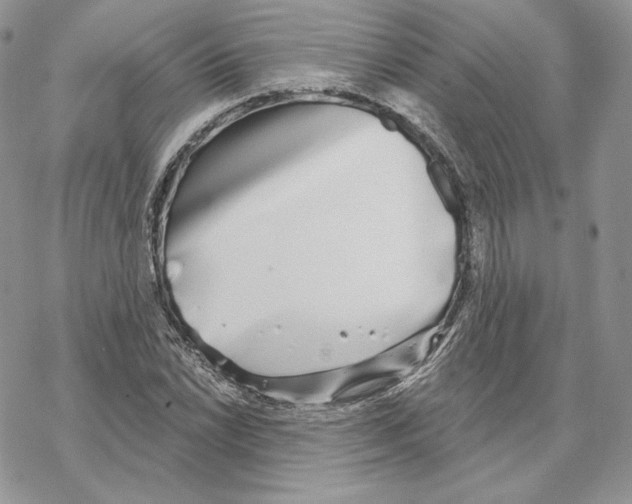 X0000069361022200606091556