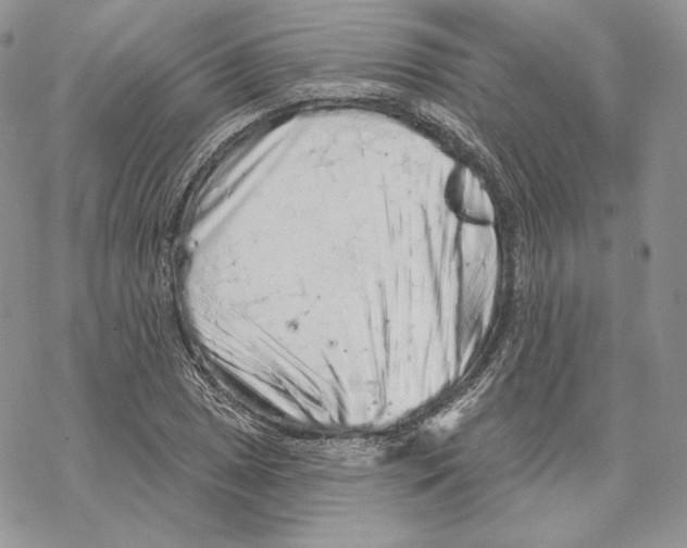 X0000069361025200606091556