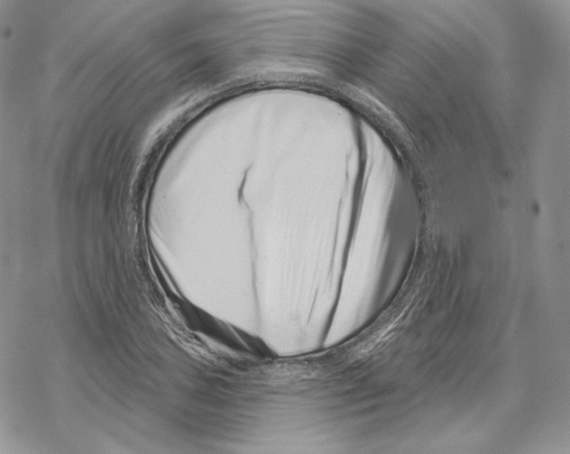 X0000069361027200606091556