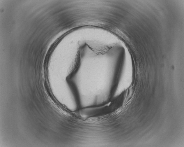 X0000069361028200606091556