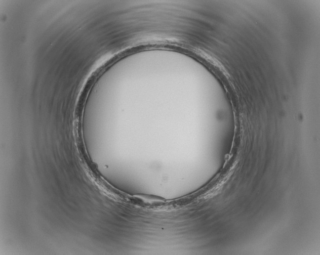 X0000069361029200606091556