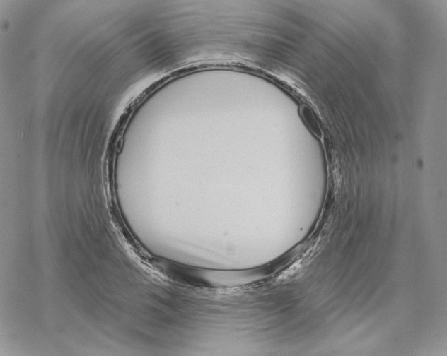 X0000069361030200606091556