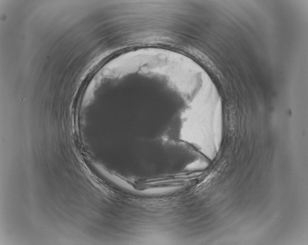 X0000069361031200606091556