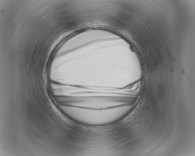 X0000069361032200606091556