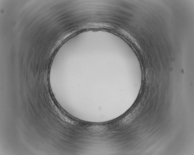 X0000069361033200606091556