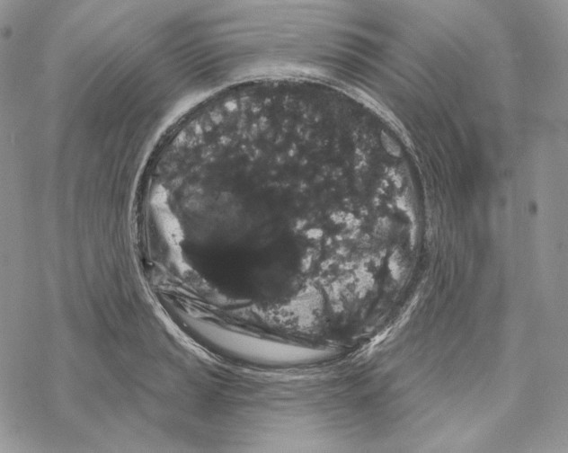 X0000069361037200606091556