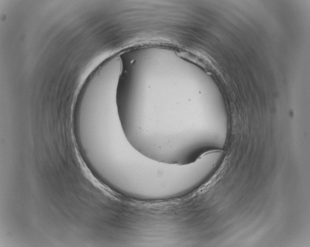 X0000069361038200606091556