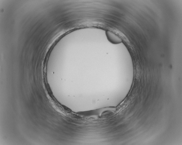 X0000069361039200606091556