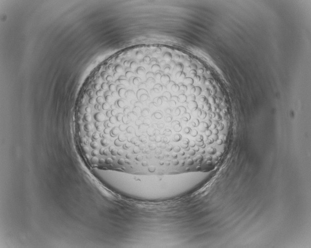 X0000069361040200606091556