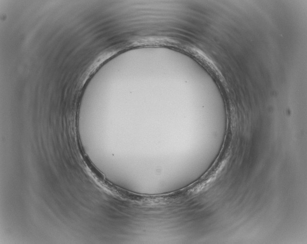 X0000069361041200606091556