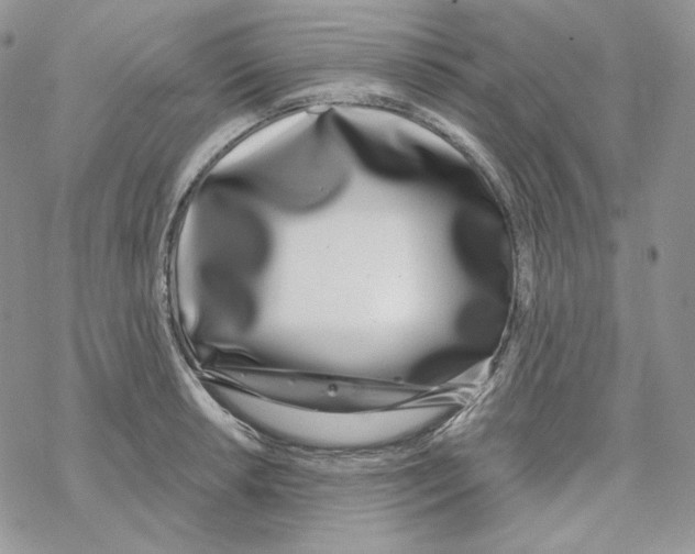 X0000069361042200606091556