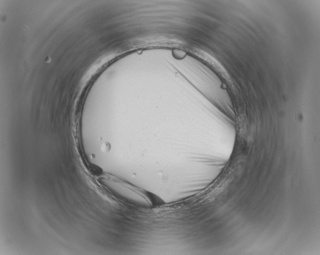 X0000069361043200606091556