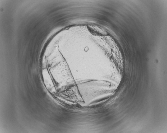 X0000069361045200606091556