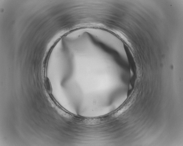 X0000069361046200606091556