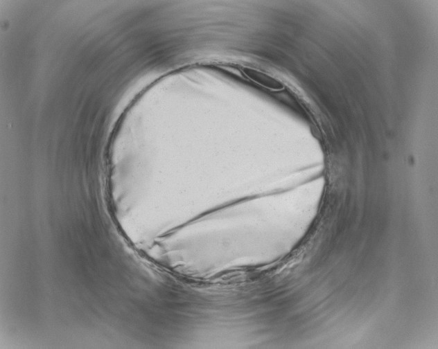 X0000069361048200606091556