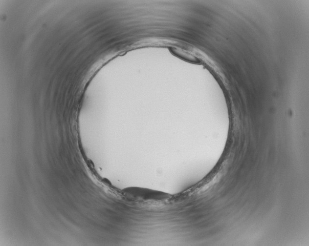 X0000069361049200606091556