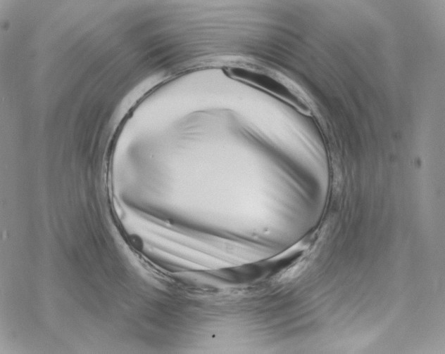 X0000069361050200606091556