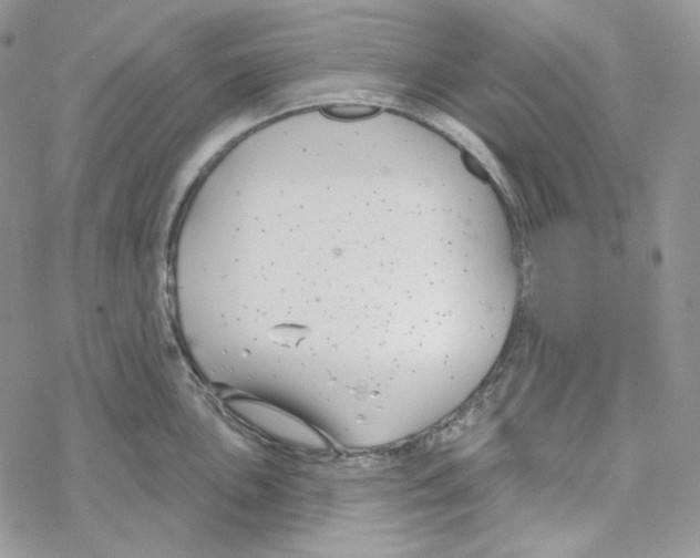 X0000069361051200606091556