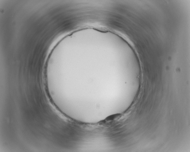 X0000069361056200606091556