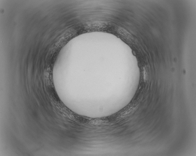 X0000069361059200606091555