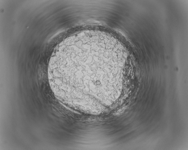 X0000069361063200606091555