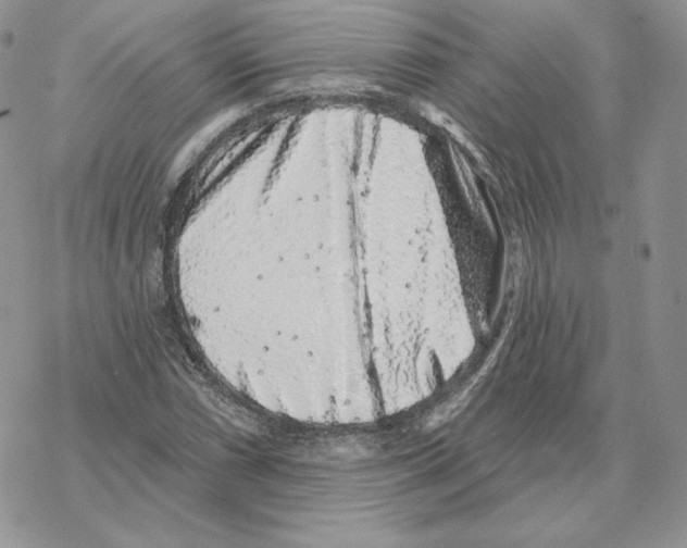 X0000069361066200606091555