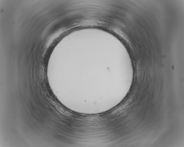 X0000069361067200606091555