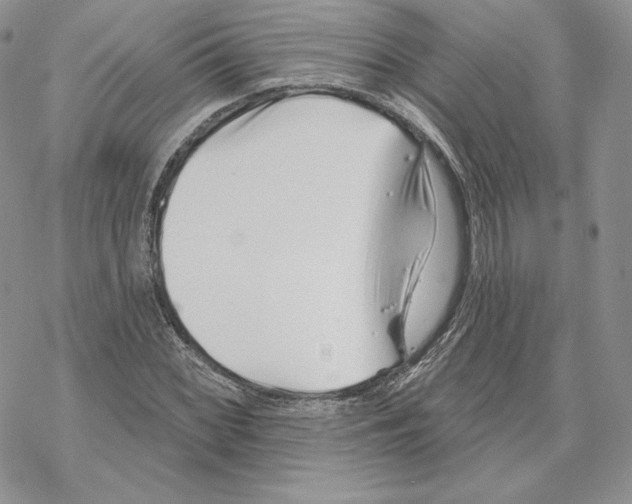 X0000069361068200606091555