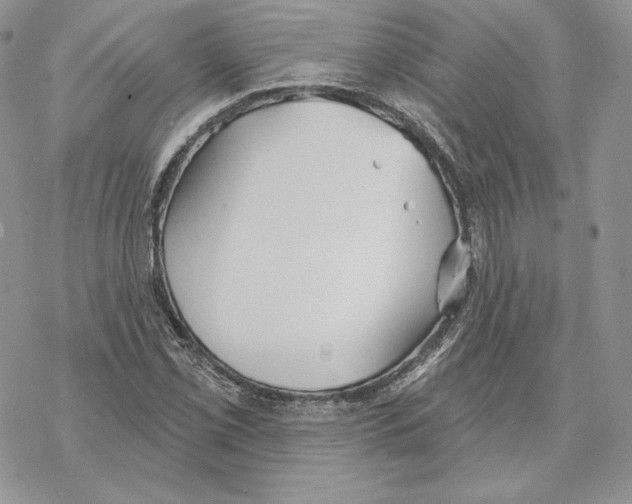 X0000069361069200606091555