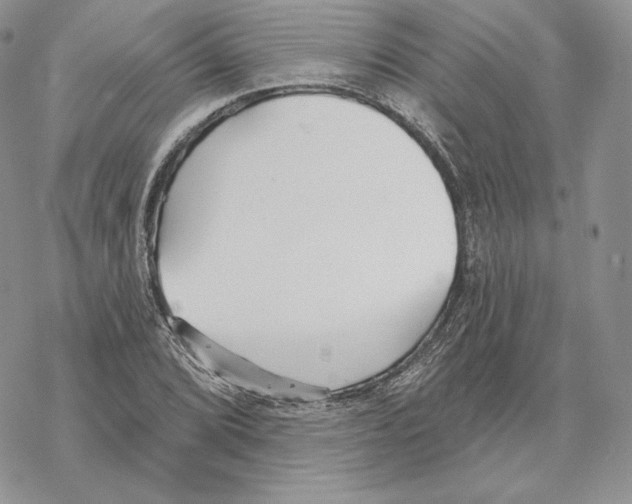 X0000069361072200606091555