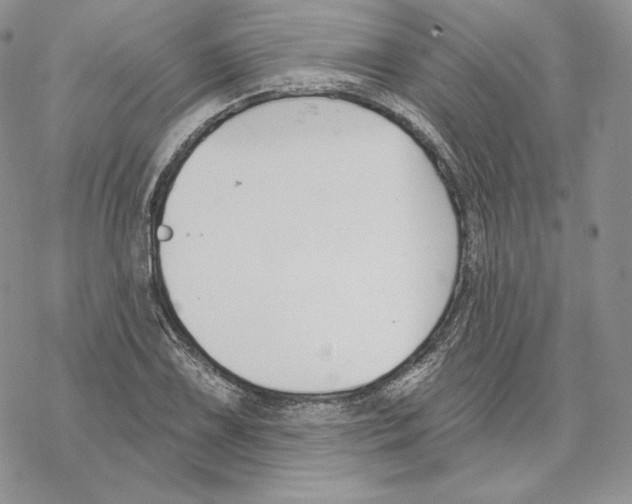 X0000069361075200606091555