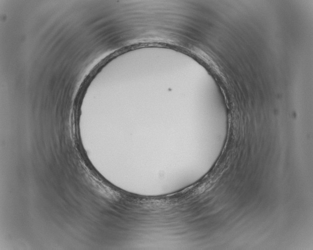 X0000069361076200606091555