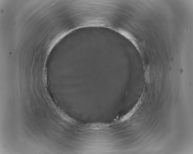 X0000069361077200606091555