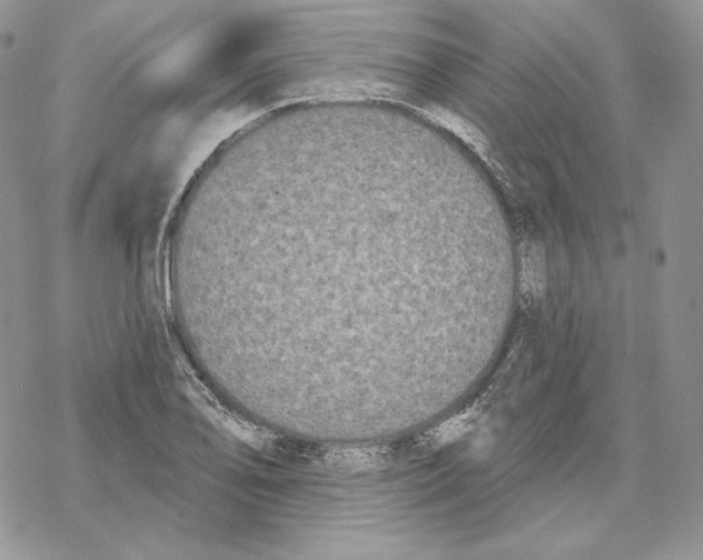 X0000069361078200606091555