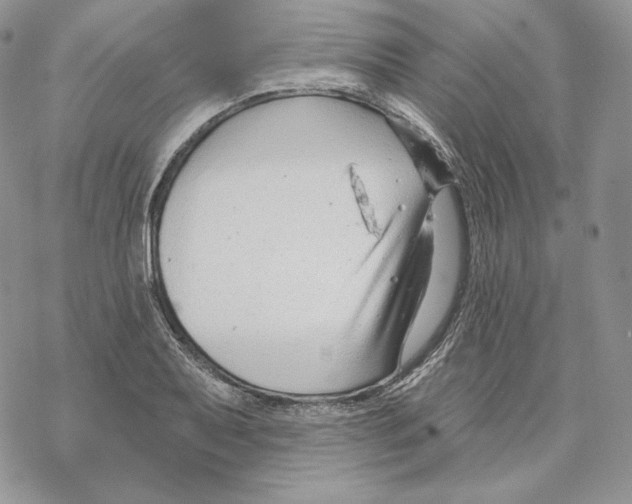 X0000069361079200606091555