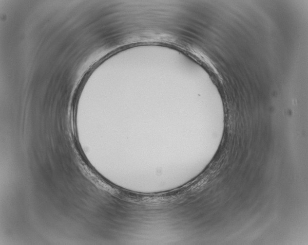 X0000069361080200606091555