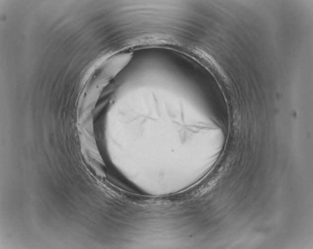 X0000069361081200606091555