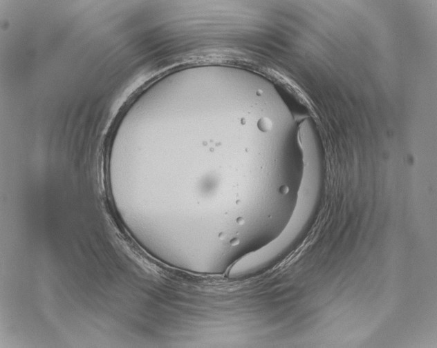 X0000069361083200606091555