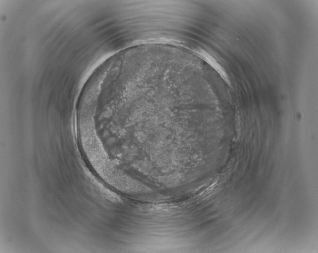 X0000069361084200606091555