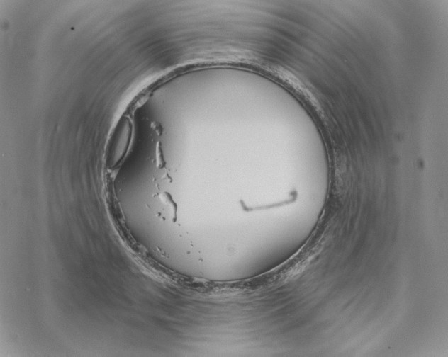 X0000069361085200606091555