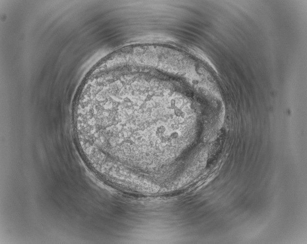 X0000069361087200606091555