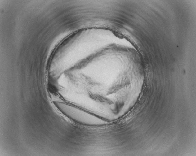 X0000069361088200606091555