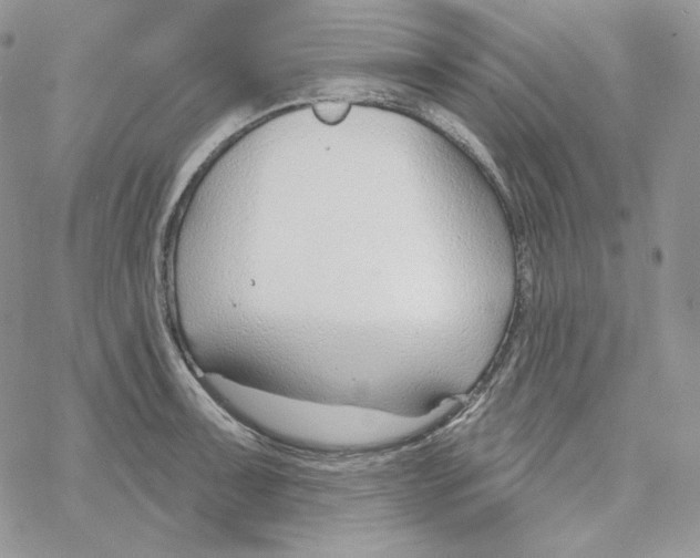 X0000069361091200606091555