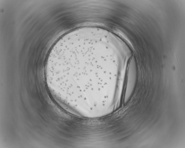 X0000069361092200606091555