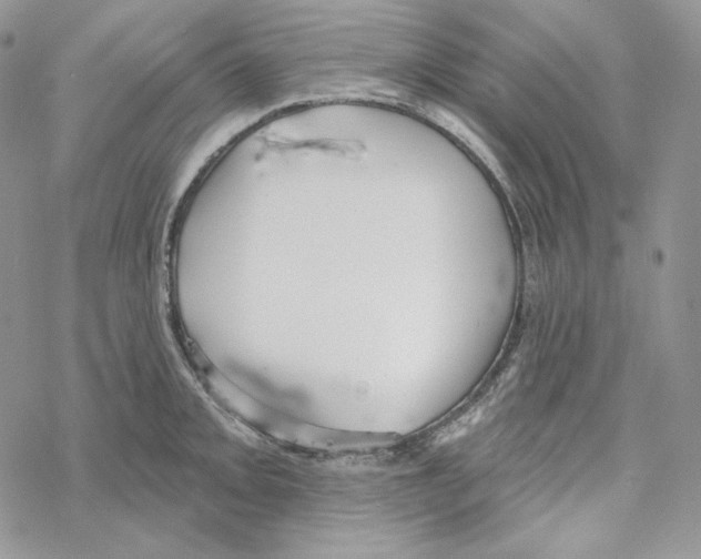 X0000069361093200606091555