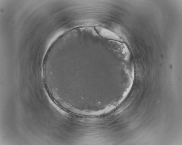 X0000069361095200606091555